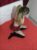 Ankara Lolita Sınırsız Anal Escort Banu - Image 1