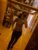 Gerçek Resimli Anal Hariç Sınırsız Ankara Escort Bayan Buket - Image 2